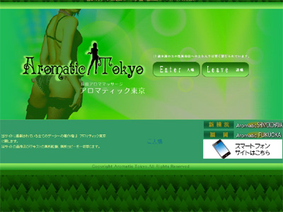 風俗エステアロマティック東京